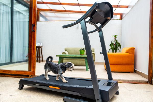 Treadmill Installation in Modesto