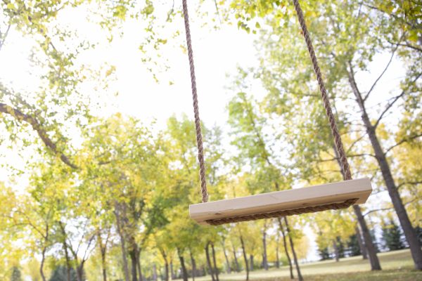 Tree Swing Installation in Modesto