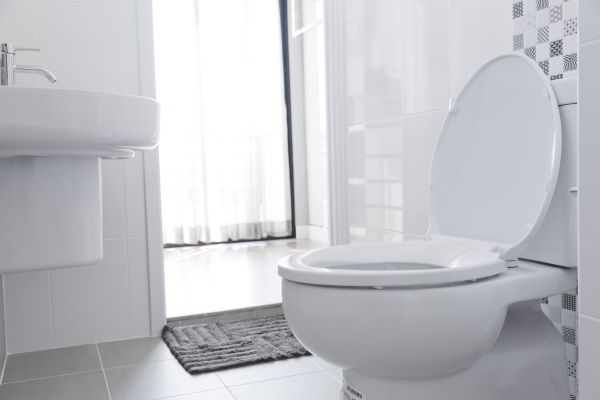 Toilet Seat Installation in Modesto