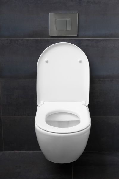 Toilet Lid Installation in Modesto
