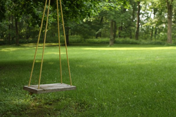 Rope Swing Installation in Modesto