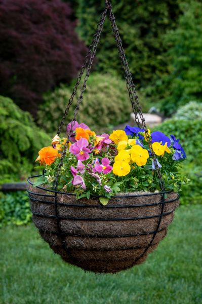 Hanging Basket Installation in Modesto
