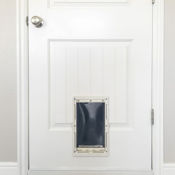 Pet Door Repair in Modesto