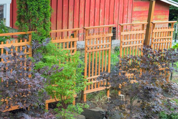 Wood Trellis Mounting in Modesto