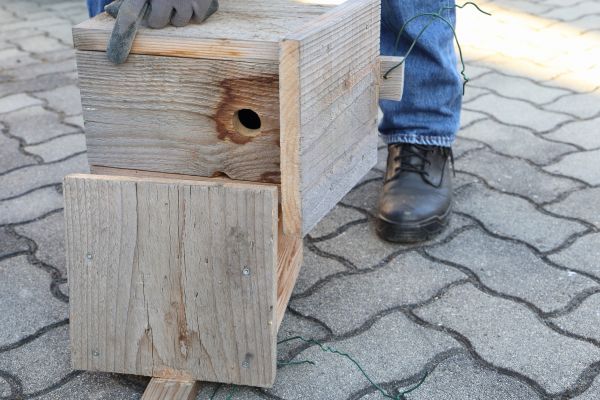 Birdhouse Mounting in Modesto