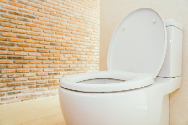 Toilet Seat Repair in Modesto